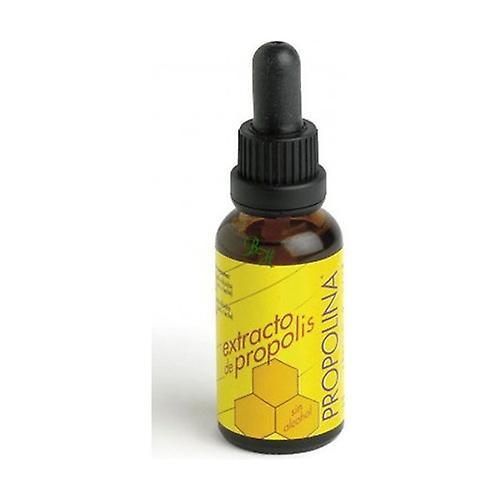 Plantis Alcohol Free Propolis Extract 30 ml on Productcaster.