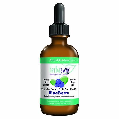 Herbasway Blueberry All Natural Memory Support, 2 Oz (Pack of 4) on Productcaster.