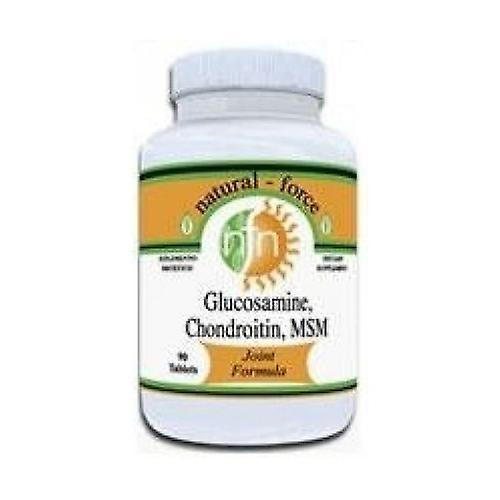 Nutri-Force Glucosamine + Chondroitin + Msm 90 tablets on Productcaster.