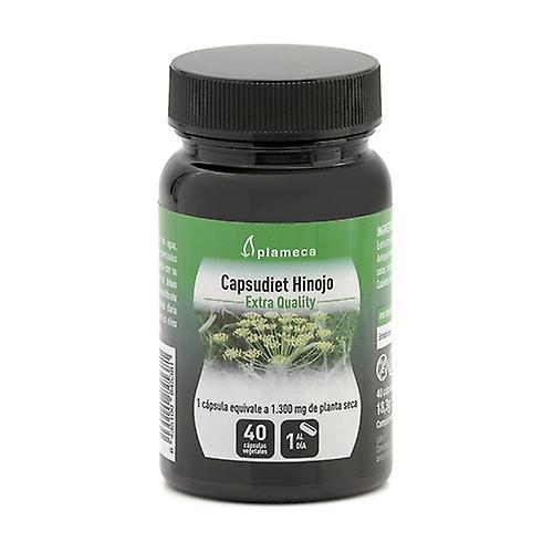 Plameca Capsudiet Fennel 40 capsules on Productcaster.