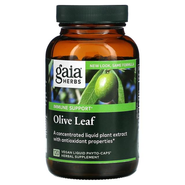 Gaia Herbs, Olive Leaf, 120 Vegan Liquid Phyto-Caps on Productcaster.