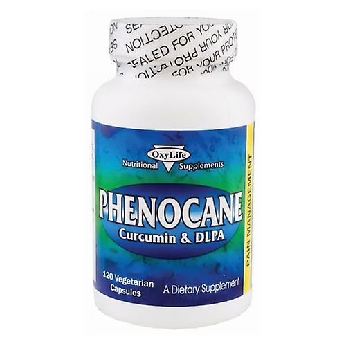 Oxylife Products Phenocane Pain Management, 120 Caps (Pack of 2) on Productcaster.