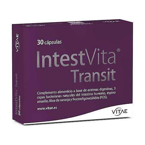 Vitae IntestVita Transit 30 kapsler on Productcaster.