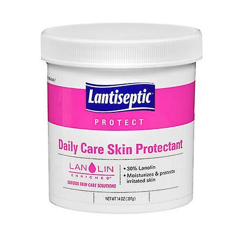 Lantiseptic Daily Care Skin Protectant, 14 Oz (Pack of 6) on Productcaster.