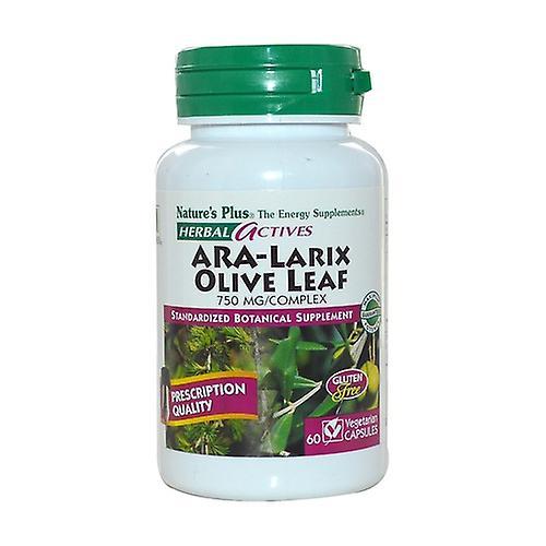 Nature's Plus Ara-Larix 7 olivový list 30 tabliet on Productcaster.