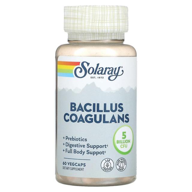 Solaray, Bacillus Coagulans, 2.5 Billion, 60 VegCaps on Productcaster.