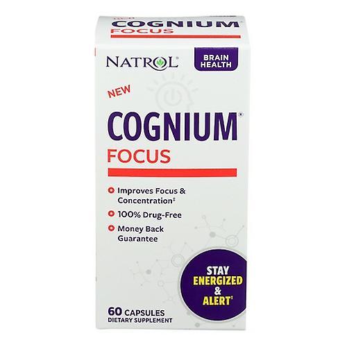 Natrol Cognium Focus, 60 tabletas (Pack de 1) on Productcaster.