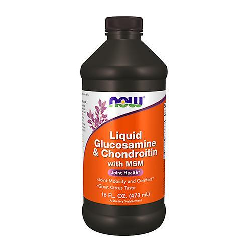 Now Foods Liquid Glucosamine & Chondroitin With Msm, 16 OZ (Pack of 4) on Productcaster.