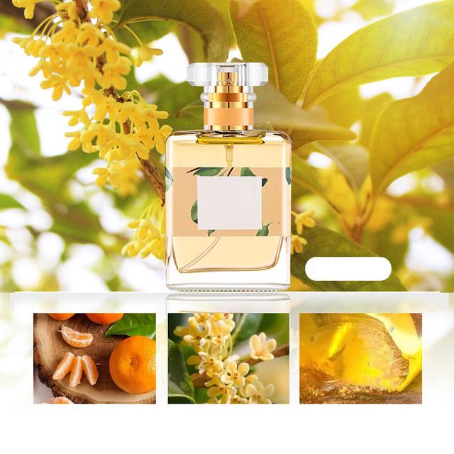 Chicoque 50 ml perfum damskich, długotrwały zapach perfum w sprayu, perfumy zapobiegające wyciekom prezent na randki zakupy podróże praca Osmanthus... on Productcaster.