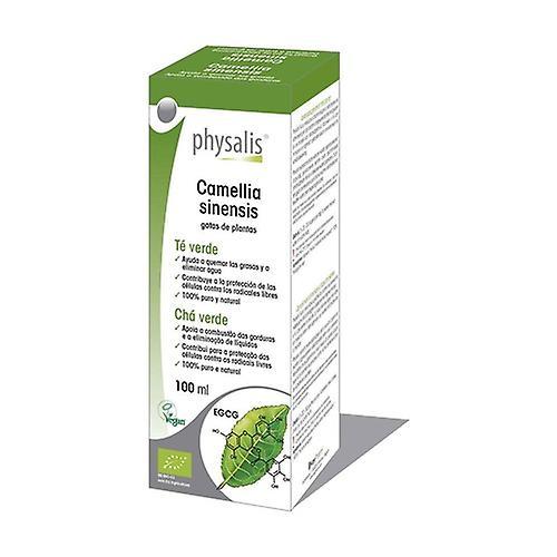 Physalis Green Tea Extract (Camelia Sinensis) Bio 100 ml on Productcaster.