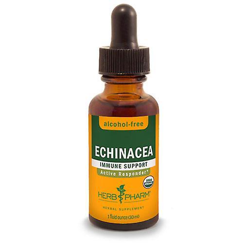 Herb Pharm Echinacea Glycerite, 4 Oz (Pack of 4) on Productcaster.