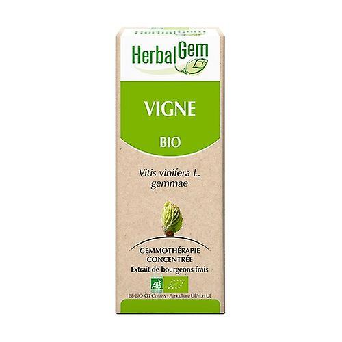 Herbalgem ORGANIC vineyard - 15 ml 15 ml on Productcaster.