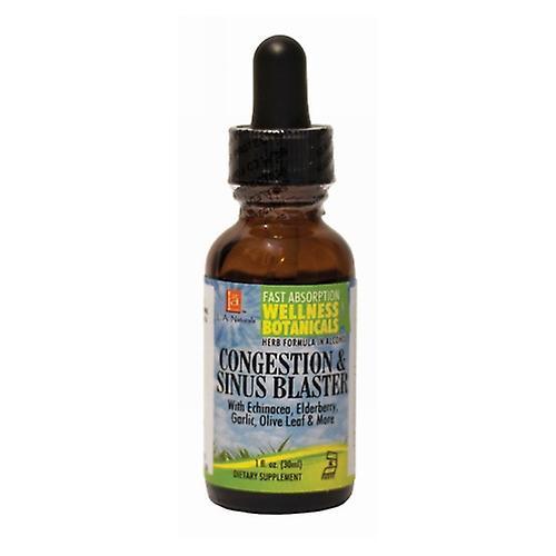 LA Naturals L. A . Naturals Congestion & Sinus Blaster Drop, 1 Oz (balenie 6) on Productcaster.