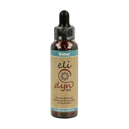 Elidyn Walnut 20 ml of floral elixir on Productcaster.