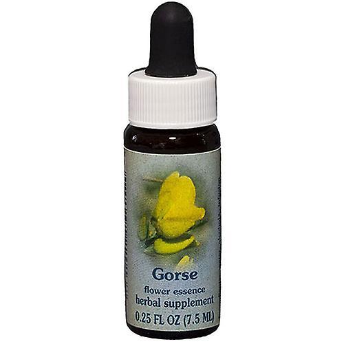 Flower Essence Services Gorse Dropper, 0.25 oz (Pack of 1) on Productcaster.