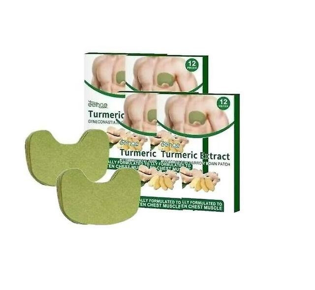 Borst Care Patch Kurkuma Extract Gynaecomastie Narrow Down Patch 12pcs/4box aes on Productcaster.