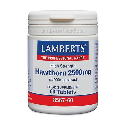 Lamberts White hawthorn 60 tablets of 2500mg on Productcaster.