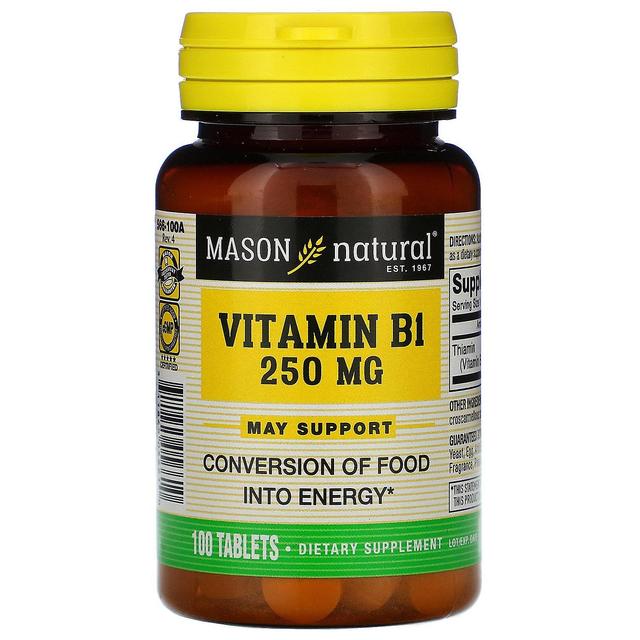 Mason Natural, Vitamin B-1, 250 mg, 100 Tablets on Productcaster.