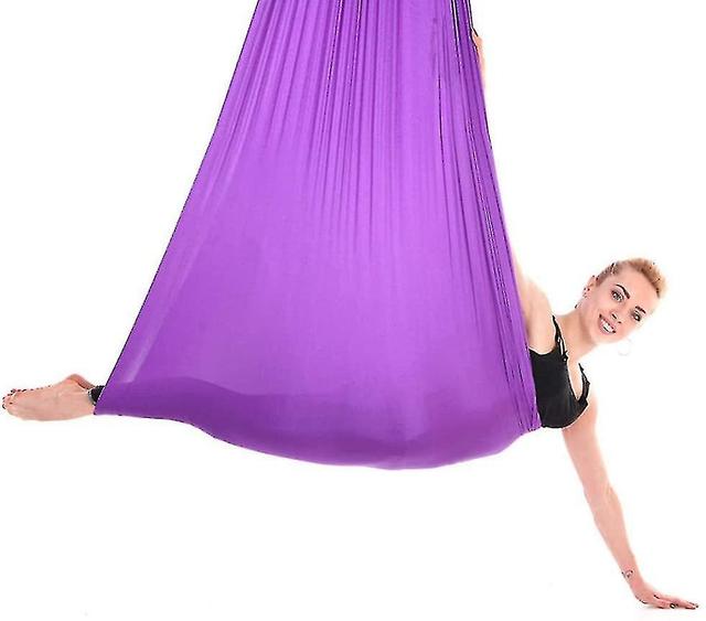 2024 New Aerial Yoga Swing Set & Hammock Kit For Flexibility & Pain Relief Kyh[hs] purple02 150*280CM on Productcaster.