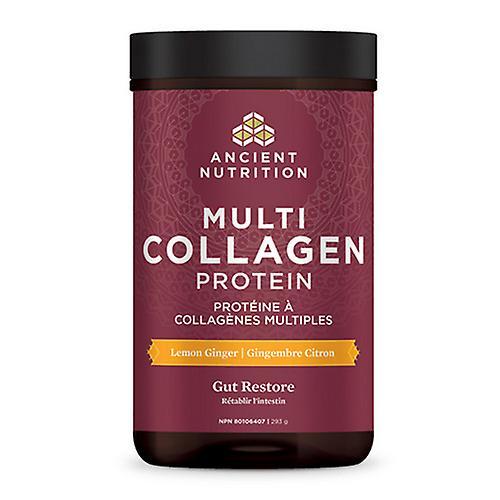 Ancient Nutrition Oude voeding Multi collageen eiwit darmherstel, 293 gram on Productcaster.