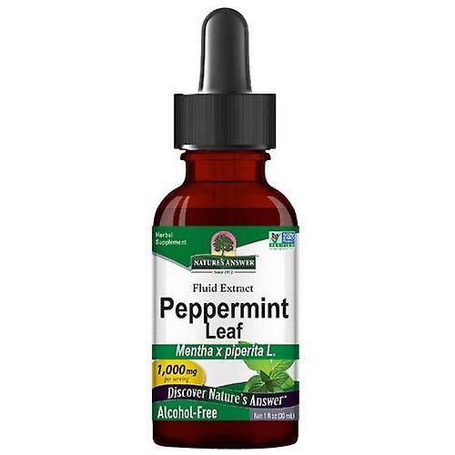 Nature's Answer Peppermint Herb, Alcohol Free Extract 1 FL Oz (Pack of 2) on Productcaster.