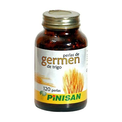 Pinisan Wheat Germ 120 softgels on Productcaster.