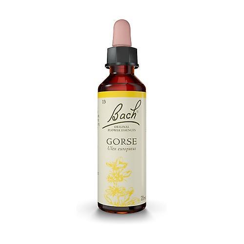 Bach Flower Bach 13 Gorse flowers (Gorse) 20 ml of floral elixir on Productcaster.