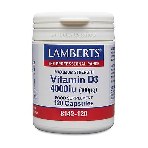 Lamberts Vitamin D3 4000 UI 120 capsules on Productcaster.