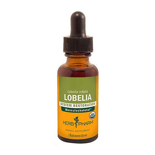 Herb Pharm Lobelia Extrakt, 1 Oz (balenie po 6) on Productcaster.