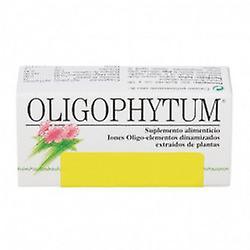 Holística Oligophytum Zinc 100 gr on Productcaster.