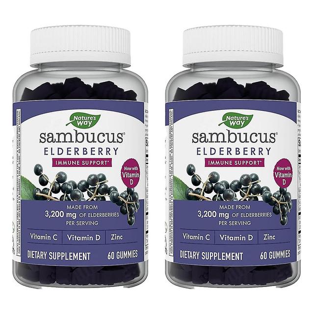 2 Pack Elderberry Gummies With Vitamin C, Vitamin D And Zinc, Immune Support For Children And Adults*, 60 Gummies on Productcaster.