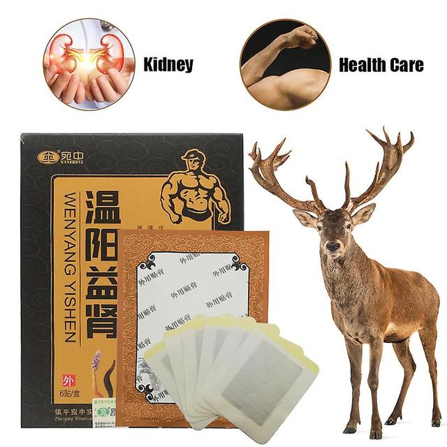 Coscelia 6pcs/box Kidney Care Patch Remove Waste,improve Male Energy Enrich Sperms Herbal Plaster Improve The Quality Of Sexual Life on Productcaster.