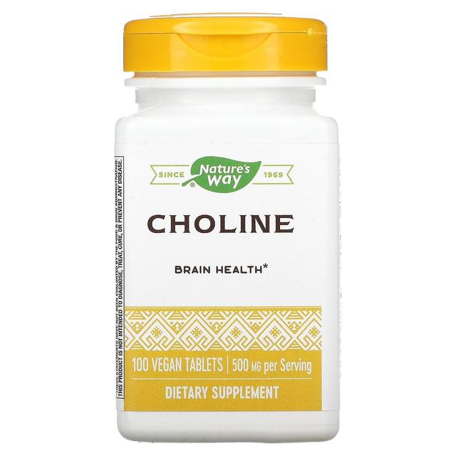 Nature's Way, Choline, 500 mg, 100 Vegan Tablets on Productcaster.