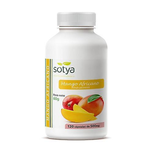 Sotya African Mango 120 capsules of 500mg on Productcaster.