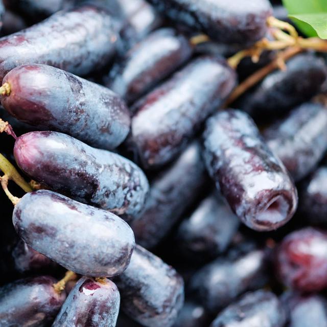 1 Bag Grape Seeds Non-GMO Prolific Black Rich Vitamins Fruit Seeds for Garden bluelans on Productcaster.