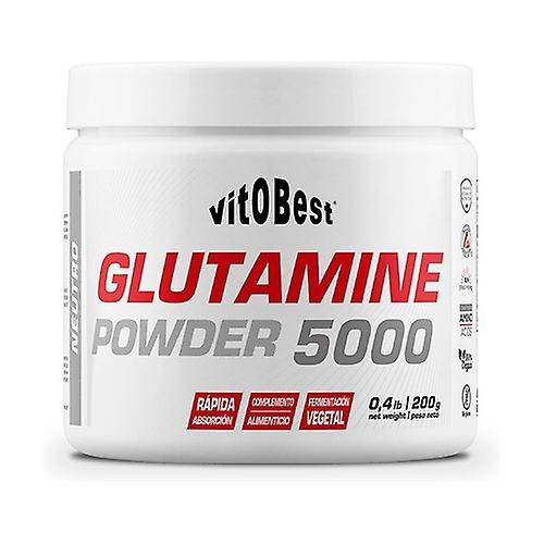 Vit.O.Best Glutamine powder 5000 post-workout 200 g of powder on Productcaster.