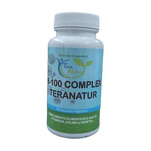 Teranatur B-100 komplex 60 kapsúl po 825mg on Productcaster.