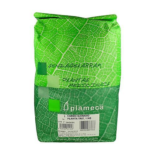 Plameca Shredded Milk Thistle Herb Leaf 1 kg on Productcaster.