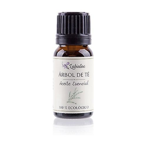 Labiatae Organic Tea Tree Essential Oil 30 ml of essential oil (Tea tree) on Productcaster.