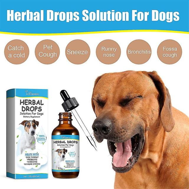 Hostbehandling för hundar, Herbal Drops Solution For Dogs Kosttillskott, Kennelhosta för hundar Herbal Drops Supplement For Dogs Itch 1pcs on Productcaster.