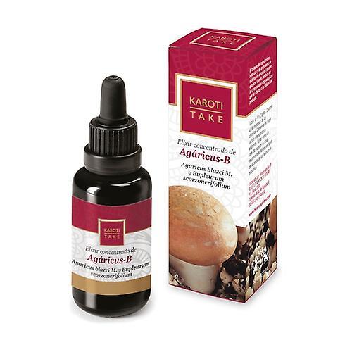 Hiranyagarba Karoti-take agaricus-b 30 ml of floral elixir on Productcaster.