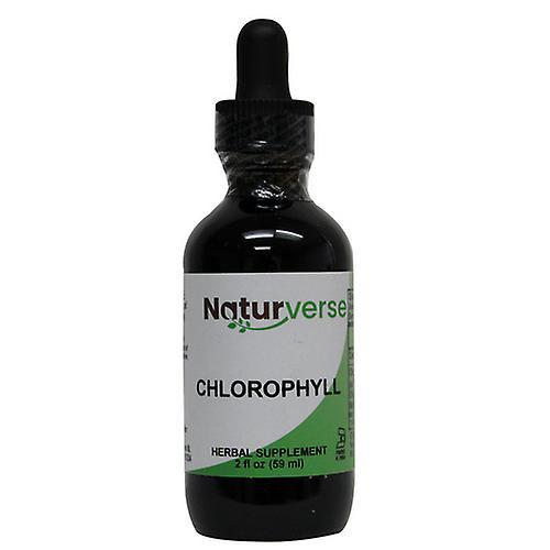 Naturverse Chlorophyll Formula Liquid Extract Alcohol-Free, 2 Oz on Productcaster.