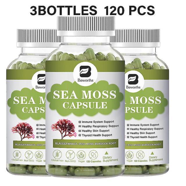 Guoguo 120pills Organic Sea Moss Capsules For Immune System Energy Gut Health Skin & Joint Support Raw Seamoss Pills & Powder 3bottles 120pcs on Productcaster.