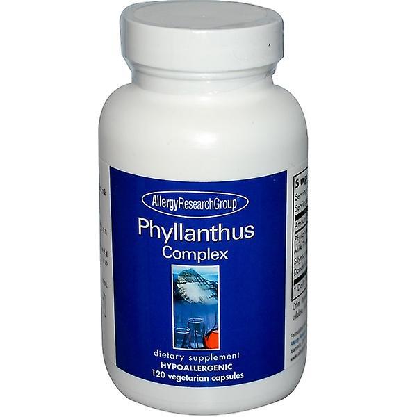 Phyllanthus Complex 120 Veggie Caps - Allergy Research Group on Productcaster.