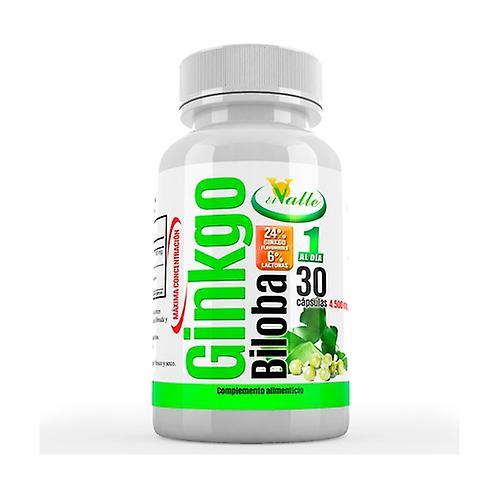 El Valle Ginkgo Biloba 30 capsules on Productcaster.