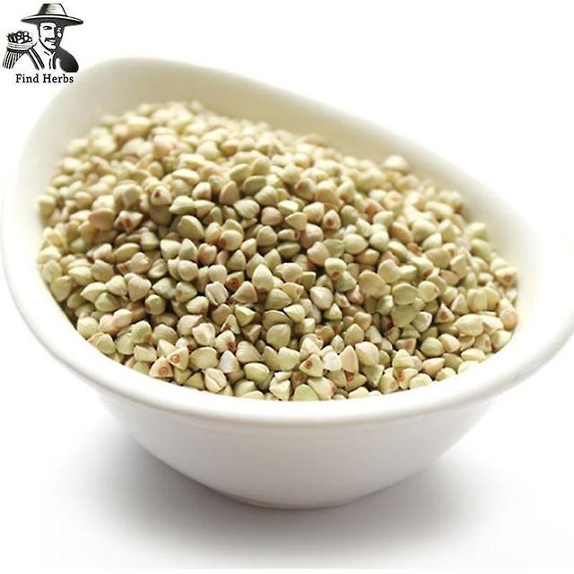 Sweet Buckwheat, Tian Qiao Mai on Productcaster.