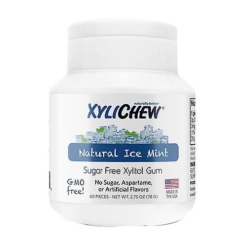 Xylichew Gum Ice Mint Jar, 60 Count (Pack of 1) on Productcaster.