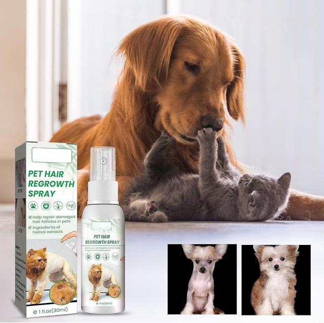 Denstyle Pet Hair Growth Supplements Spray Natural Ingredients Faster Hair Regrowth Due To Or Illness Apply To Body Pet Hair Regrowth Spray 1 Pcs on Productcaster.