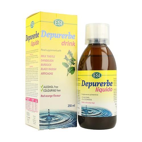 ESI Depurerbe sirup 250 ml on Productcaster.