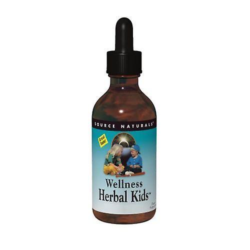 Source Naturals Wellness Herbal Kids Liquid, 4 oz (Pack of 6) on Productcaster.